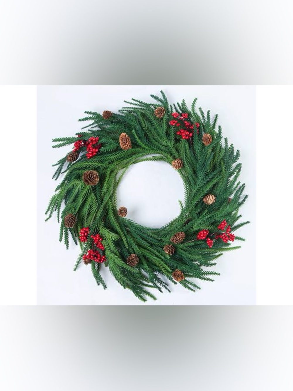Norfolk Pine Garland or wreath 6 ft